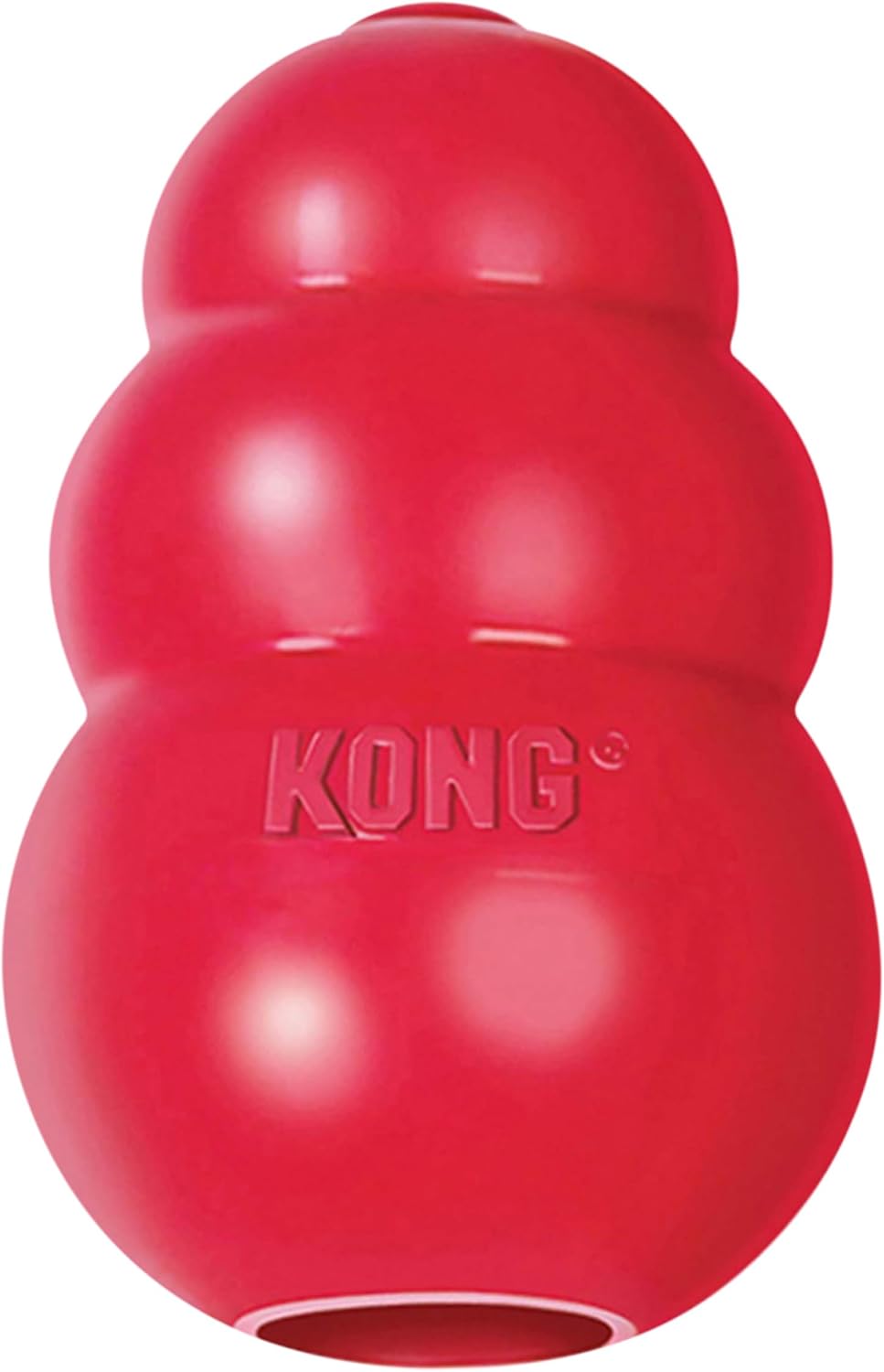 Classic Dog Chew Toy by Havvibe