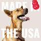 Classic Dog Chew Toy by Havvibe