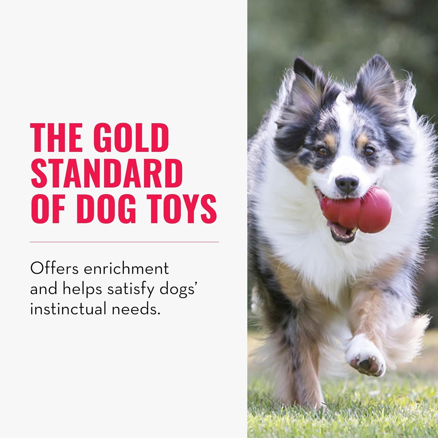 Classic Dog Chew Toy by Havvibe
