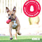 Classic Dog Chew Toy by Havvibe