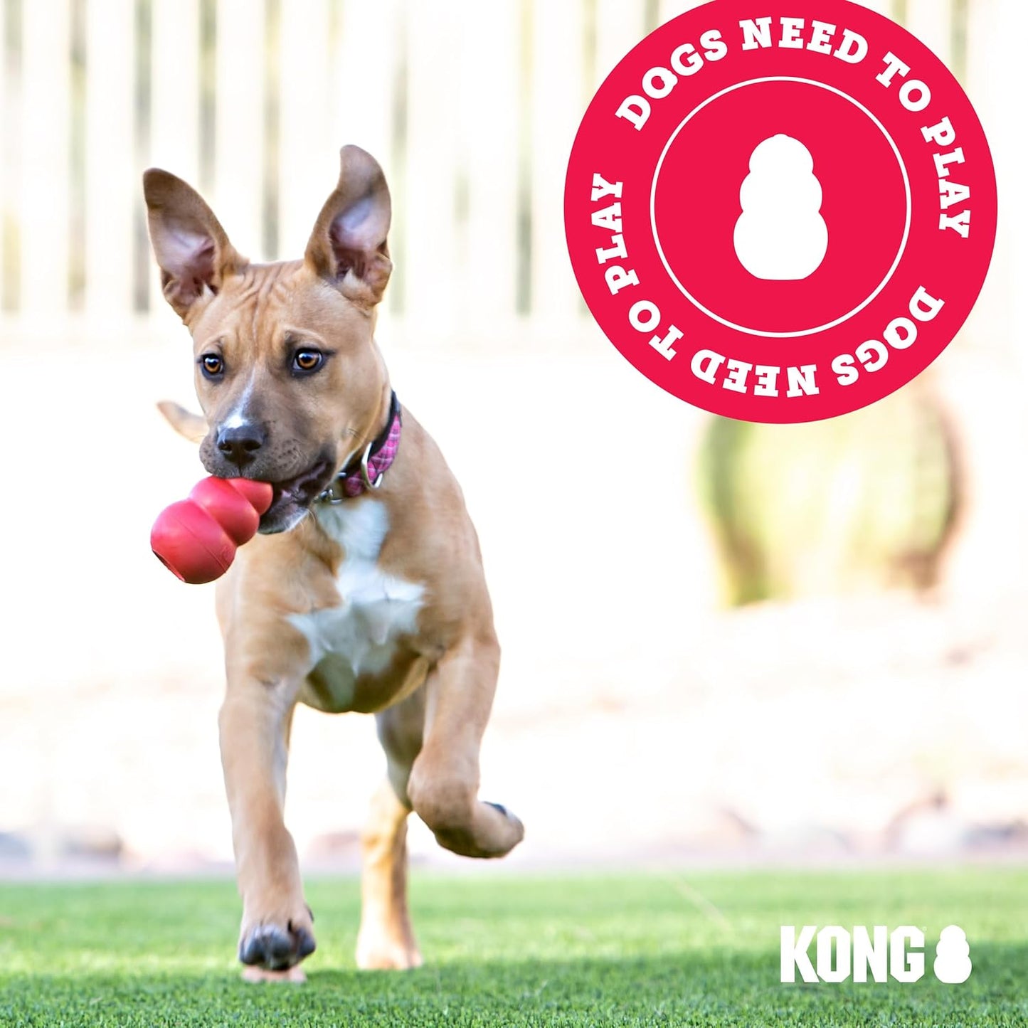 Classic Dog Chew Toy by Havvibe